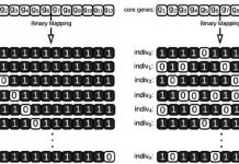 Binary-mapping