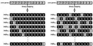 Binary-mapping