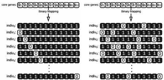 Binary-mapping