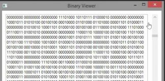 Read-binary-file-in-C-from-specific-position